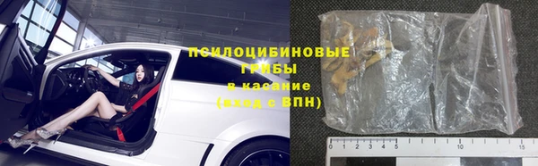 хмурый Алзамай