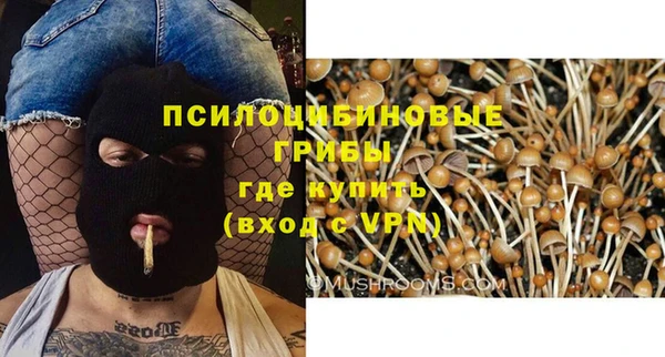 экстази Алексеевка