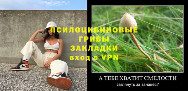 хмурый Алзамай