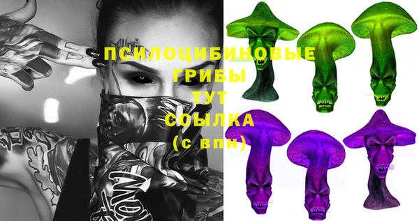 таблы Алексин