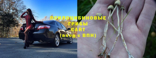 таблы Алексин
