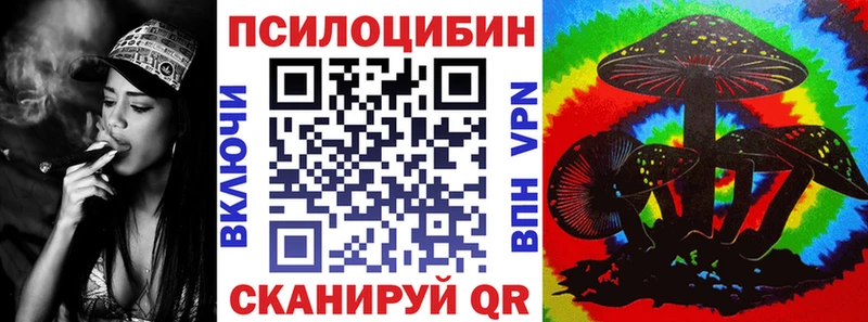 гидра как зайти Никольское Галлюциногенные грибы Psilocybine cubensis